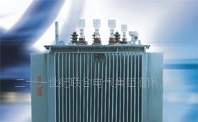 10KV级S9M-20KVA封闭油浸式电力变压器