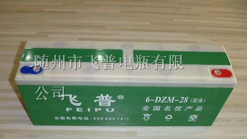 供应飞普电动车蓄电池