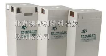赛特蓄电池|BT-HSE100-12|亲要电池么