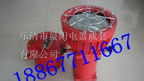供应防爆投光灯 全塑荧光灯 175W矿用投光灯
