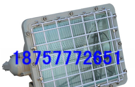 供应【BAT52-L250W防爆泛光灯（分体式）】