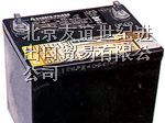 天津大力神蓄电池