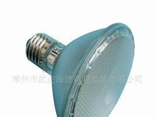 LED灯具 PAR灯