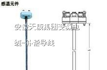 供应双支铂热电阻WZP2-101