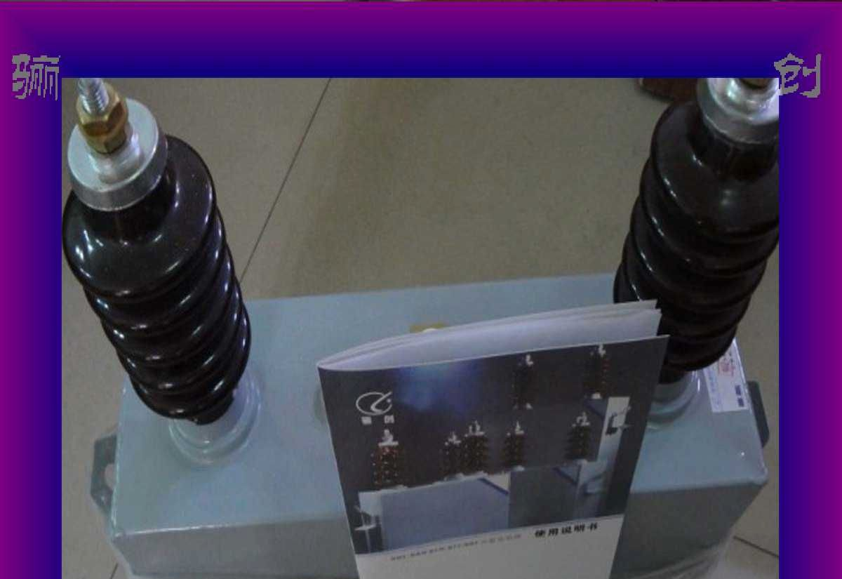 高压并联电容器BWF系列  BFF系列 BWF6.6√3-50-1W