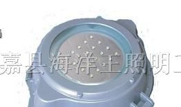 海洋王LED通道灯NFC9183，防爆平台灯BPC8732