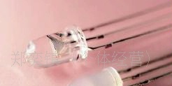 LED发光二极管F3红色(图)