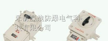 供应BHZ51系列防爆转换开关 正泰原件 施耐德元件
