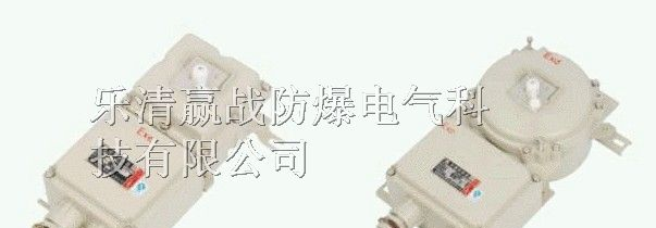 供应BDZ52系列防爆断路器(正泰原件