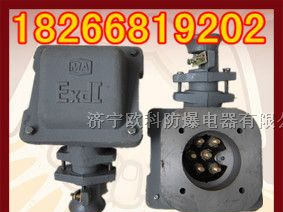 供应防爆电机接线盒