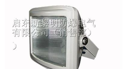 供应NSC9720防眩通路灯,防眩应急通路灯价格