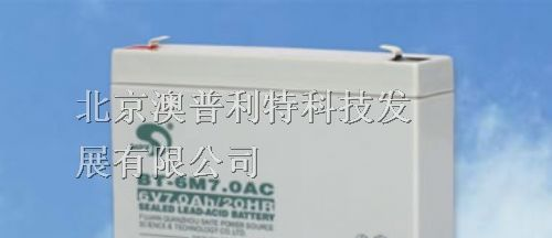 赛特蓄电池免维护蓄电池UPS蓄电池