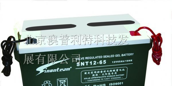 北京赛能蓄电池12V65AH赛能蓄电池12V38AH赛能12V100AH