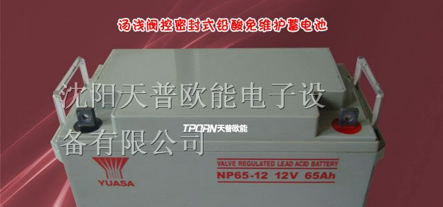 汤浅蓄电池直流屏专用电池汤浅蓄电池价格