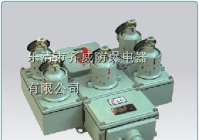 供应BXS防爆防腐电源插座箱