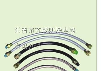 供应BLCNG防爆挠性管