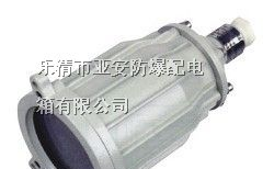 供应防爆视孔灯|BSD防爆视孔灯|防爆视孔灯价格
