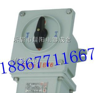 供应防爆开关 BHZ51-10/3防爆转换开关