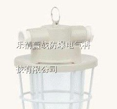 供应ABP系列安全型防爆白炽灯(e)