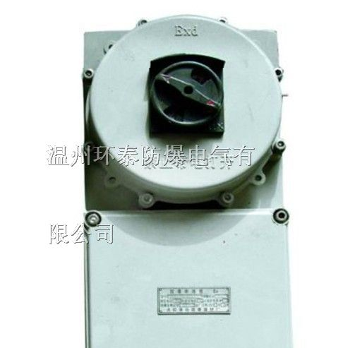 供应BLK52防爆断路器|BDZL隔爆型漏电断路器