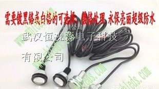 供应 1LED 1W大功率鹰眼日行灯，刹车灯，转向灯