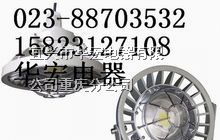 供应防爆灯，led防爆灯，LED防爆灯(A型)