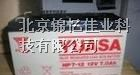供应日本汤浅蓄电池/汤浅电池NP100-12