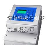 供应硫化氢泄露报警器/天津
