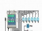 供应氨气泄漏检测仪“（氨气）”
