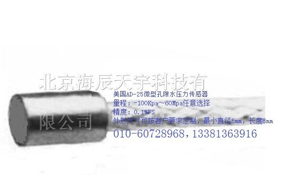 美国微型孔隙水压力传感器