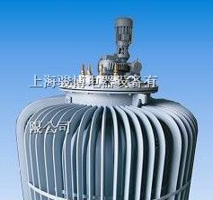 供应TDA TSA 高压大容量感应调压器！