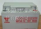 供应日本汤浅电池指定代理商/汤浅蓄电池代理