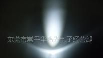 LED F5白光 白色发光二极管