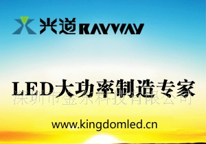 LED大功率 白光