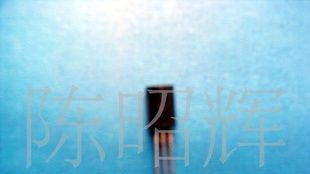 大量可控硅CT502