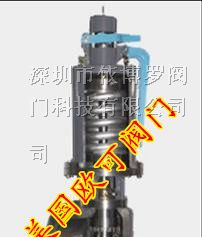 供应进口锅炉安全阀 规格 选型 型号 应用