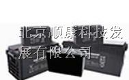 济南大力神蓄电池唐山大力神2V12V系列