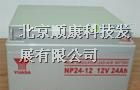 鑫鸿汤浅蓄电池 汤浅蓄电池质优价廉质保三年