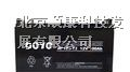 德洋蓄电池价格德洋DOYO：NP12-100蓄电池报价