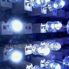 大量现货5mmLED白灯(图)
