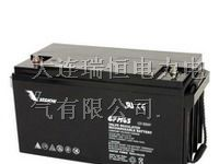 供应大连VISION蓄电池6FM65