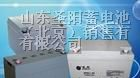 供应辽宁圣阳蓄电代理商-沈阳地区总代理