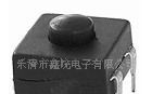 供应4脚按钮开关 按钮开关（按键开关）手电筒开关(