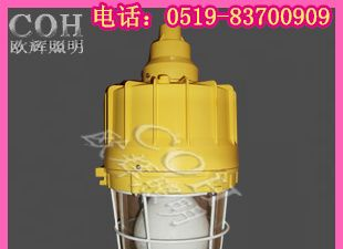 供应CCD92 防爆无极灯