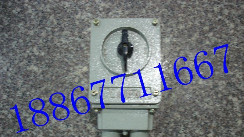 供应防爆开关，BHZ51防爆转换开关，行程开关