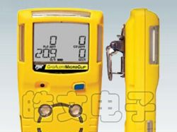 易燃气体检测仪