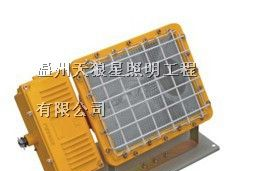供应gtd5130防爆泛光灯，gtd5130价格