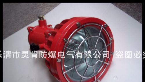 矿用隔爆型投光灯，DGC175/127B