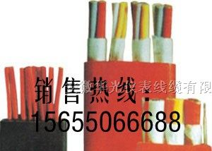 供应YGCB-HF46R，YGCB-HF46R电缆，YGCB-HF46R扁平电缆