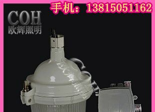 供应防眩泛光灯 分体式的泛光灯